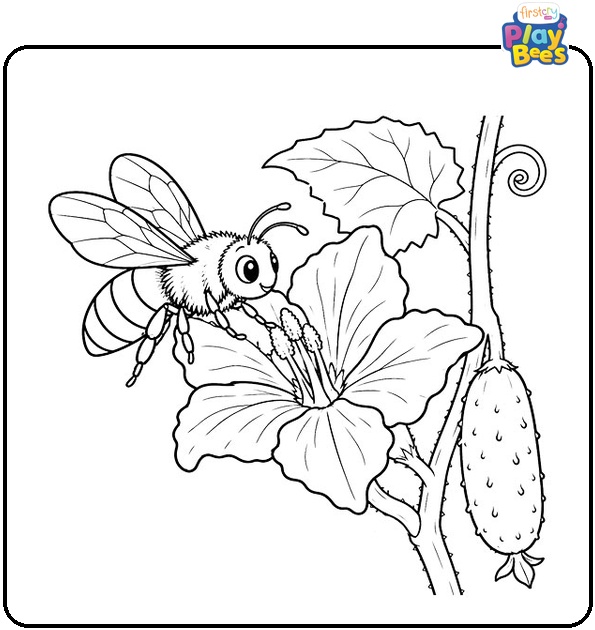 Bee-Visiting-a-Cucumber-Flower-Coloring-Page Bee-Visiting-a-Cucumber-Flower-Coloring-Page