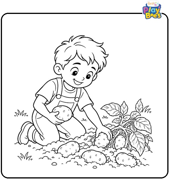 Boy Picking Potatoes Coloring Page Boy Picking Potatoes Coloring Page