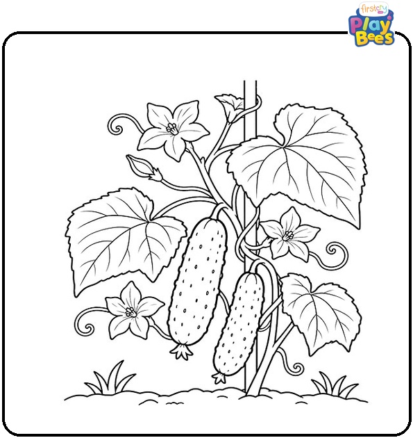 Cucumber-Plant-with-Flowers-and-Leaves-Coloring-Page Cucumber-Plant-with-Flowers-and-Leaves-Coloring-Page