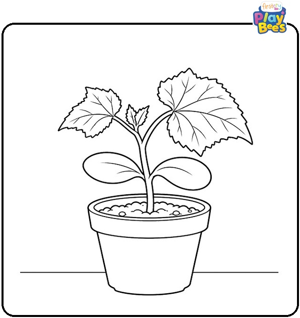 Cucumber-Seedling-Growing-in-a-Pot-Coloring-Page Cucumber-Seedling-Growing-in-a-Pot-Coloring-Page