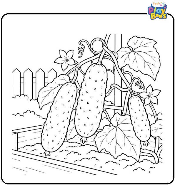 Cucumbers-Growing-in-a-Backyard-Garden-Coloring-Page Cucumbers-Growing-in-a-Backyard-Garden-Coloring-Page