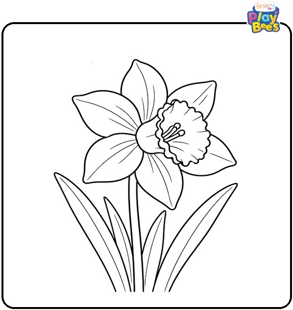 Daffodil With Leaves Coloring Page Daffodil With Leaves Coloring Page