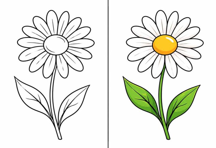 Daisy Coloring Pages – Free Printable Worksheets & Pictures