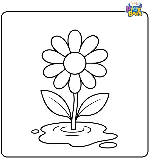 Daisy-in-a-Puddle Daisy-in-a-Puddle