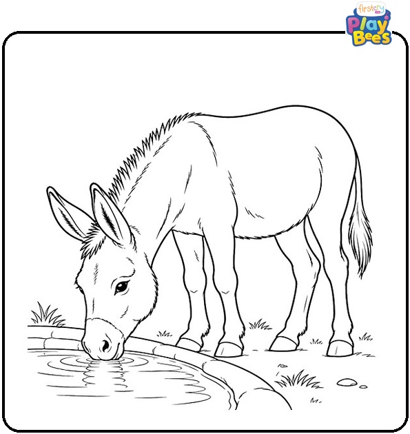 Donkey Drinking Water Coloring Page