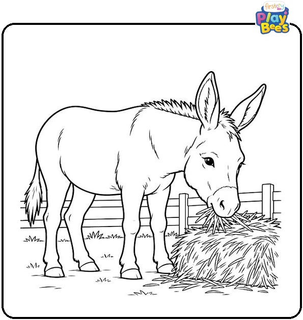 Donkey Eating Hay Coloring Page Donkey Eating Hay Coloring Page