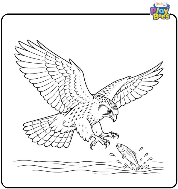 Falcon-Catching-Prey-Coloring-Page Falcon-Catching-Prey-Coloring-Page