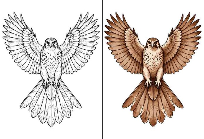Falcon Coloring Pages – Free Printable Worksheets & Pictures