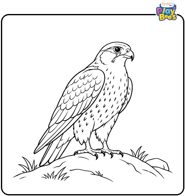 Falcon-Standing-on-the-Hill-Coloring-Page Falcon-Standing-on-the-Hill-Coloring-Page