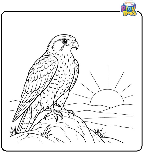 Falcon-and-the-Sunrise-Coloring-Page Falcon-and-the-Sunrise-Coloring-Page