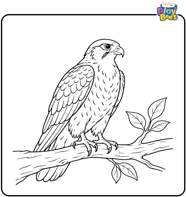 Falcon-on-Tree-Branch-Coloring-Page Falcon-on-Tree-Branch-Coloring-Page