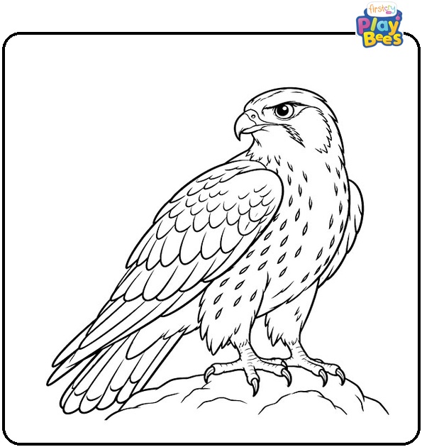 Fierce-Falcon-Coloring-Page Fierce-Falcon-Coloring-Page