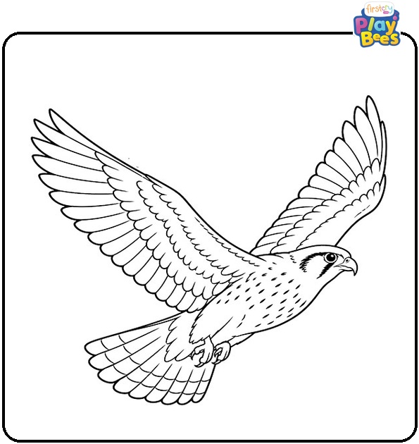 Flying-Falcon-Coloring-Page Flying-Falcon-Coloring-Page