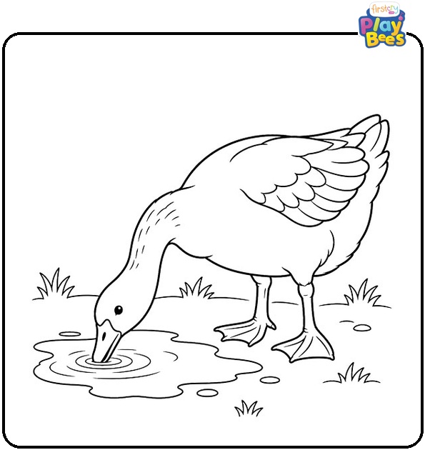 Goose-Drinking-From-a-Puddle-Coloring-Page Goose-Drinking-From-a-Puddle-Coloring-Page