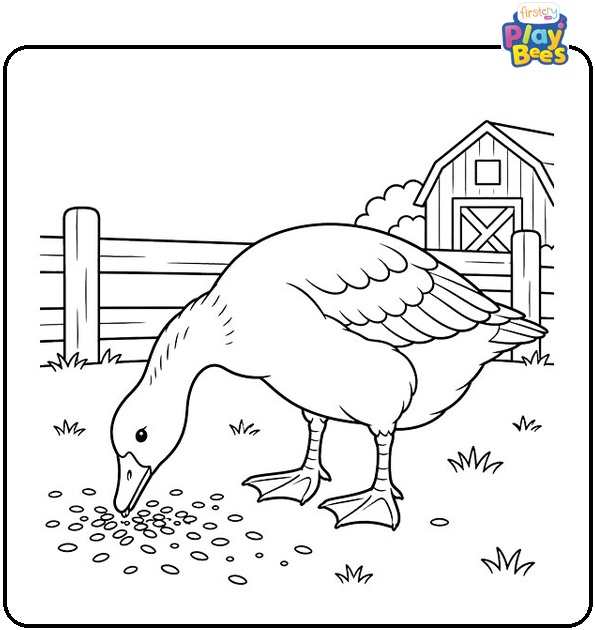 Goose-Eating-Grain-From-the-Ground-Coloring-Page