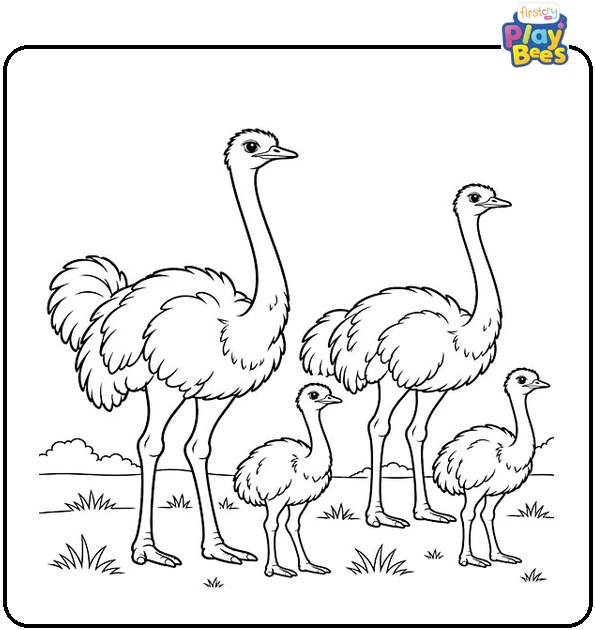 Group-of-Ostriches-Coloring-Page Group-of-Ostriches-Coloring-Page