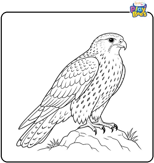 Gyrfalcon-Coloring-Page Gyrfalcon-Coloring-Page