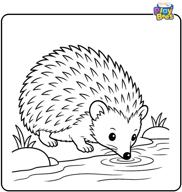 Hedgehog Drinking from a Stream Coloring Page