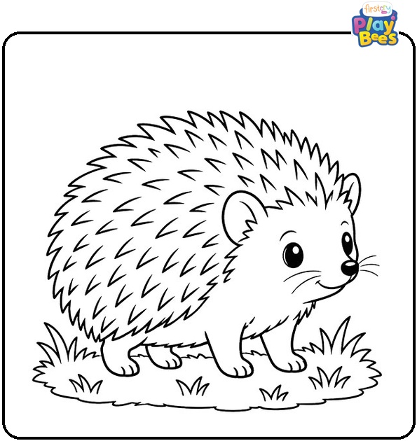 Hedgehog Standing on the Grass Coloring Page