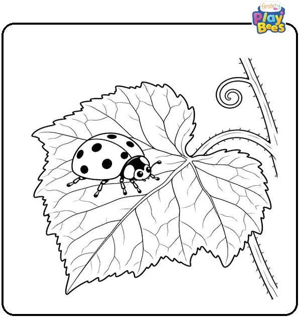 Ladybug-on-a-Cucumber-Leaf-Coloring-Page Ladybug-on-a-Cucumber-Leaf-Coloring-Page