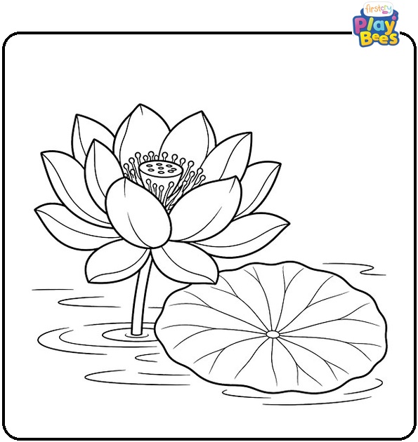 Lotus Bloom Beside Large Flat Leaf Coloring Page Lotus Bloom Beside Large Flat Leaf Coloring Page