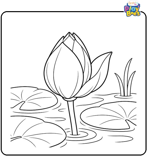 Lotus Bud Unfurling Its First Petal Coloring Page Lotus Bud Unfurling Its First Petal Coloring Page