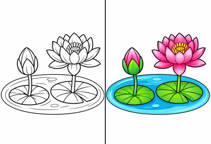 Lotus Coloring Pages – Free Printable Worksheets & Images