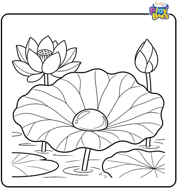 Lotus Leaf Holding Pearl Like Water Drop Coloring Page Lotus Leaf Holding Pearl Like Water Drop Coloring Page