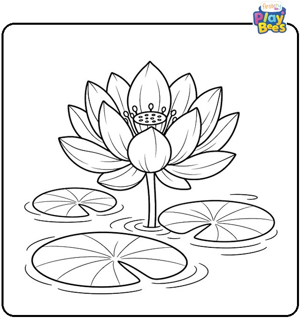 Lotus Rising Above Round Lily Pads Coloring Page Lotus Rising Above Round Lily Pads Coloring Page