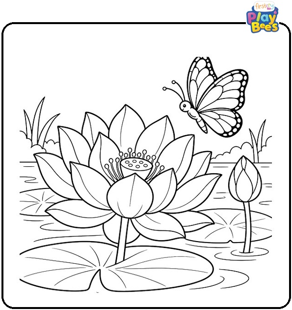Lotus with Butterfly Hovering Above Coloring Page Lotus with Butterfly Hovering Above Coloring Page