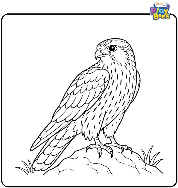 Merlin-Falcon-Coloring-Page Merlin-Falcon-Coloring-Page