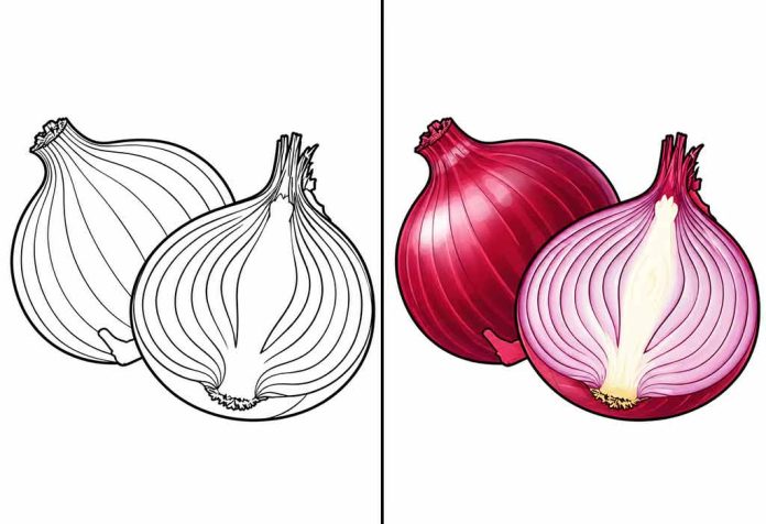 Onion Coloring Pages – Free Printable Worksheets & Images