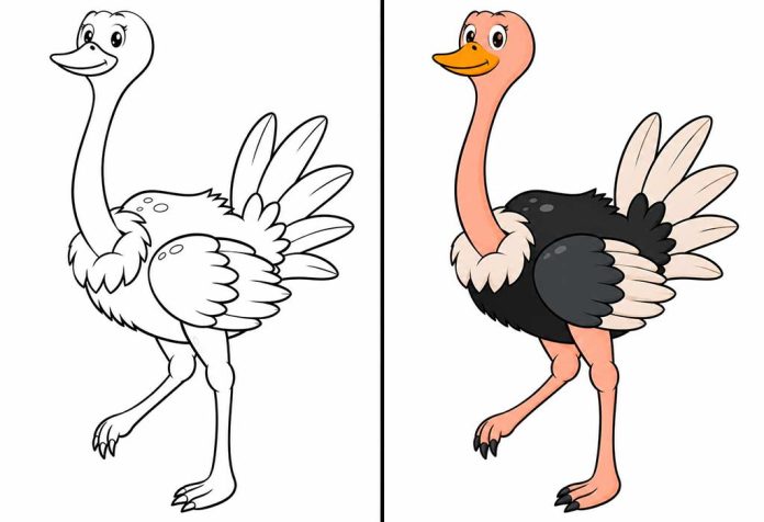Ostrich Coloring Pages – Free Printable Worksheets & Pictures
