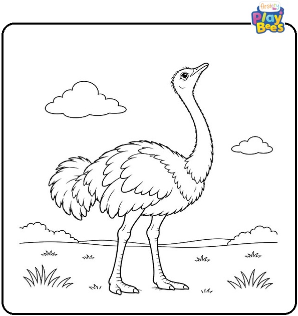 Ostrich-Looking-Up-at-the-Sky-Coloring-Page