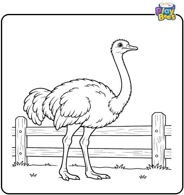 Ostrich-Next-to-a-Wooden-Fence-Coloring-Page