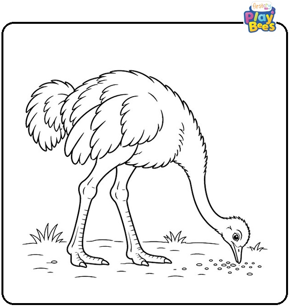 Ostrich-Pecking-Food-From-the-Ground-Coloring-Page