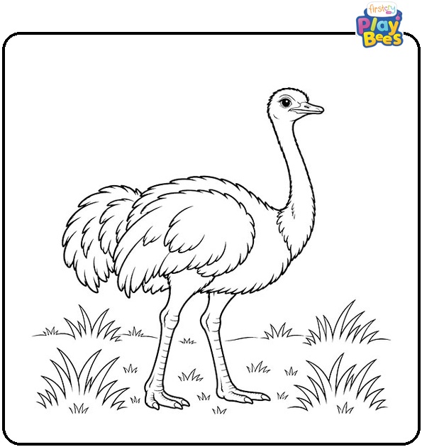Ostrich-in-the-Grass-Coloring-Page Ostrich-in-the-Grass-Coloring-Page