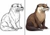 Otter Coloring Pages – Free Printable Worksheets & Pictures Otter Coloring Pages – Free Printable Worksheets & Pictures