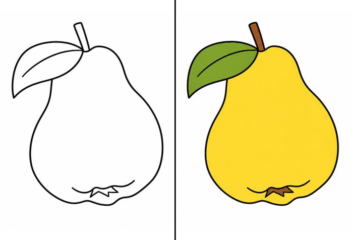 Pear Coloring Pages – Free Printable Worksheets & Images