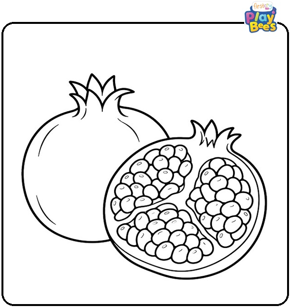 Pomegranate Cut in Half Coloring Page Pomegranate Cut in Half Coloring Page