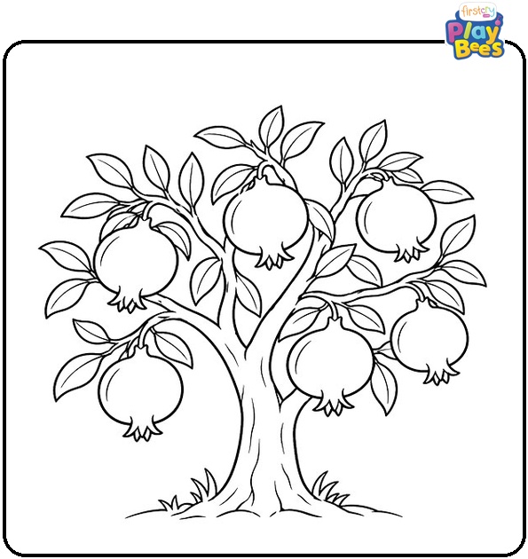 Pomegranate Tree with Fruits Coloring Page Pomegranate Tree with Fruits Coloring Page