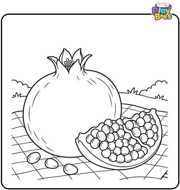 Pomegranate on a Picnic Blanket Coloring Page Pomegranate on a Picnic Blanket Coloring Page