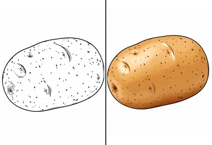 Potato Coloring Pages – Free Printable Worksheets & Images