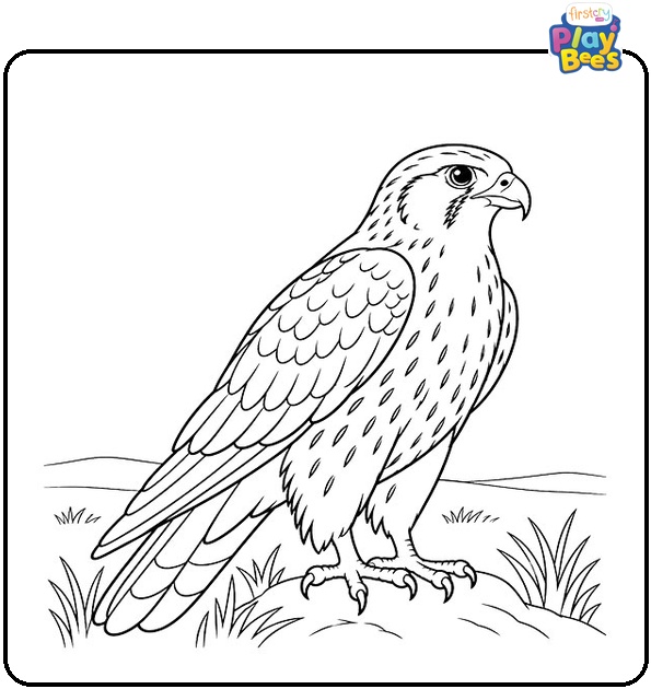 Prairie-Falcon-Coloring-Page Prairie-Falcon-Coloring-Page