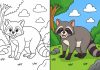 Raccoon Coloring Pages – Free Printable Worksheets & Images Raccoon Coloring Pages – Free Printable Worksheets & Images
