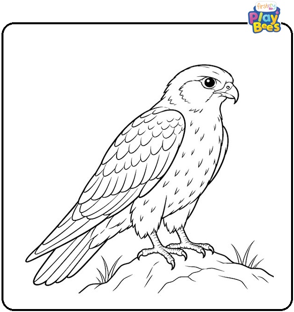Red-footed-Falcon-Coloring-Page Red-footed-Falcon-Coloring-Page