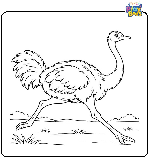 Running-Ostrich-Coloring-Page