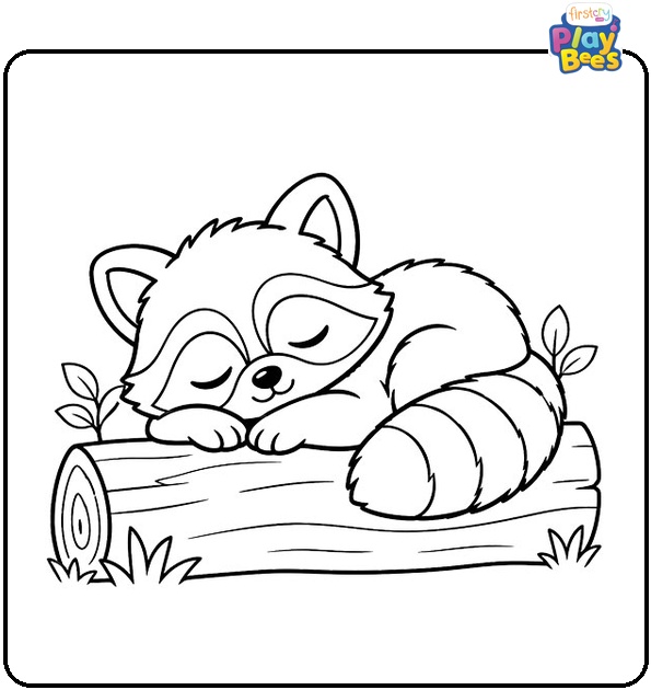 Sleeping-Baby-Raccoon-Coloring-Page