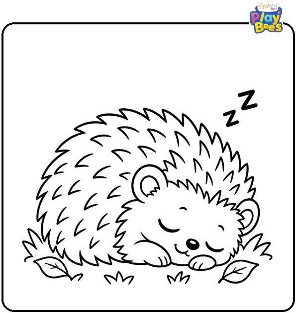 Sleeping Hedgehog Coloring Page