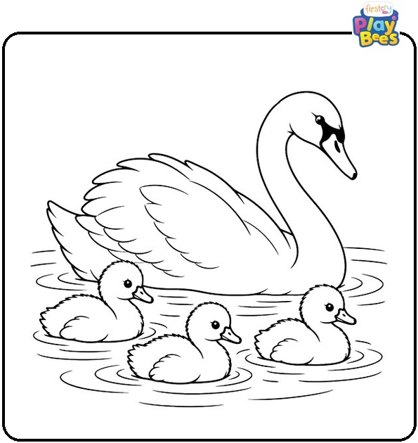 Swan-Swimming-With-Cygnets-Coloring-Page Swan-Swimming-With-Cygnets-Coloring-Page
